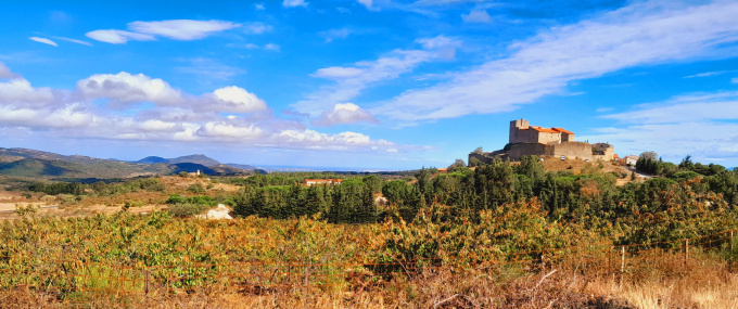 Offres de vente Terrain agricole Montalba-le-Château (66130)