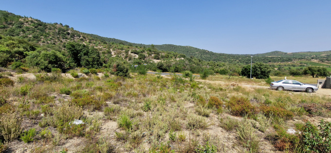 Offres de vente Terrain Montalba-le-Château (66130)