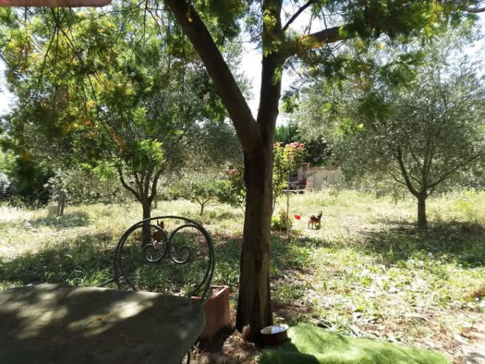 Offres de vente Terrain de loisir Toulouges (66350)