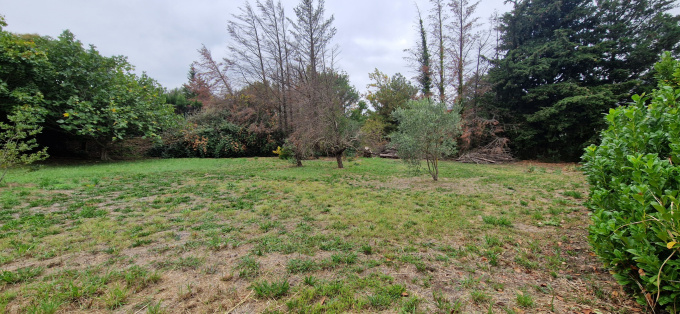 Offres de vente Terrain à batir Rodès (66320)