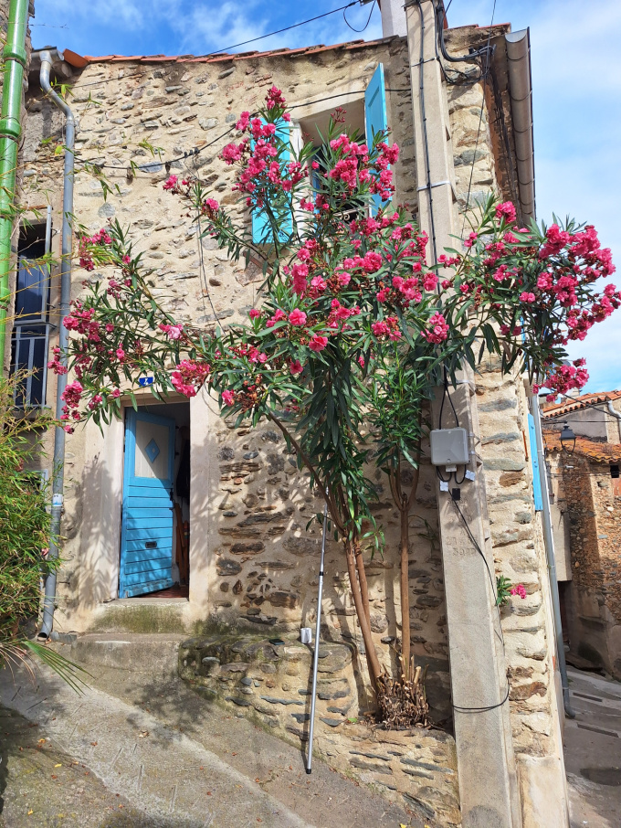 Offres de vente Maison de village Bouleternère (66130)