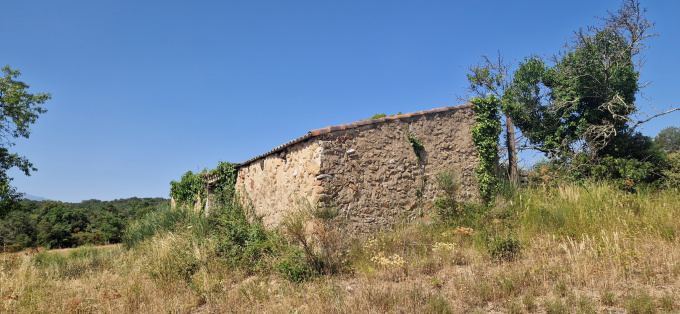 Offres de vente Terrain agricole Montalba-le-Château (66130)